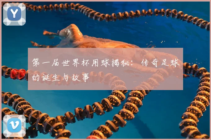 第一届世界杯用球揭秘：传奇足球的诞生与故事