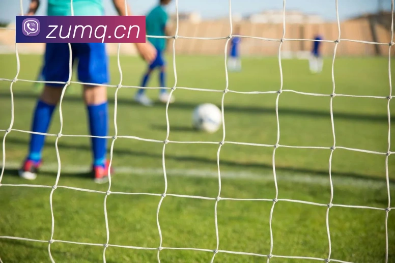 云开体育官网APP 高清赛事图